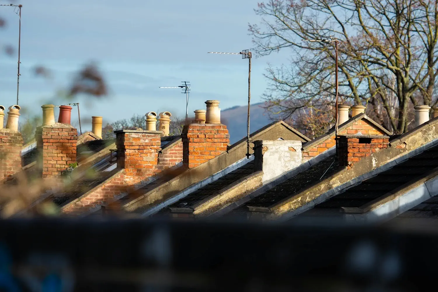 A photo of housing